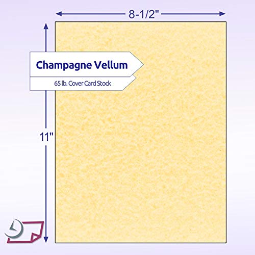 NextParch 8-1/2" x 11" (Letter Size) 65 lb. Parchment Cover Card Stock (Champagne)