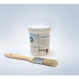 Ncr Fanapart Glue 14 Fl. Oz.