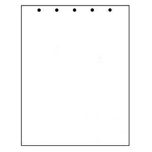8-1/2" x 11" Letter Size, Laser/Ink Jet used for Medical Use, Cut Sheet, 20# White, with 5 Hole Punch on Top (2 Reams of 500 Sheets Each, Total 1000 Sheets)