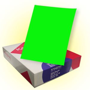Bright Color Paper - Avocado Green