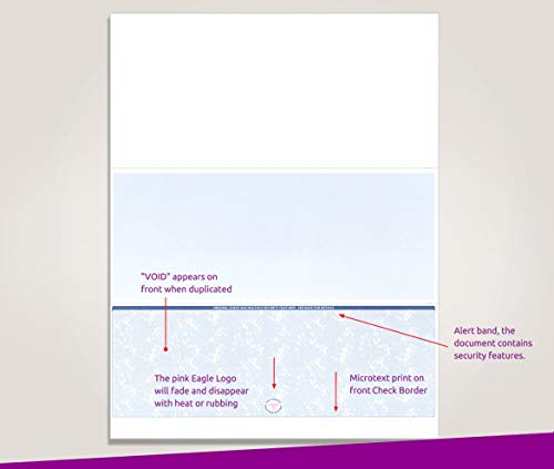 NextSecure Blank Laser/Ink-Jet Checks, 500 Sheets Per Pack (Blue Bottom)