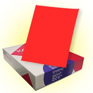 Bright Color Paper - Mango/Red