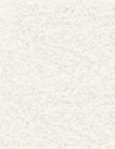 NextParch 8-1/2" x 11" (Letter Size) 65 lb. Parchment Cover Card Stock (Pewter)