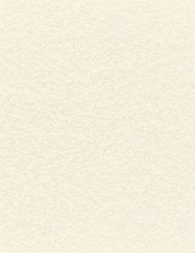 NextParch 8-1/2" x 11" (Letter Size) 65 lb. Parchment Cover Card Stock (New White)