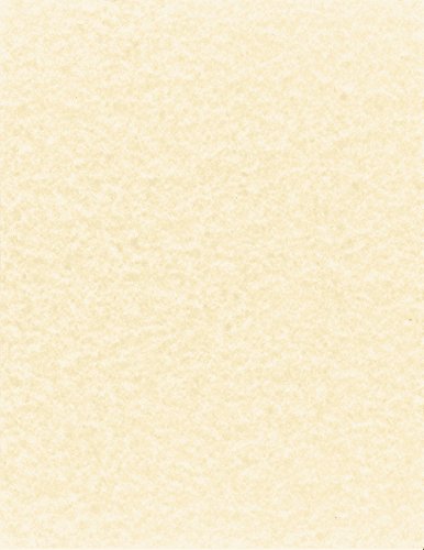 NextParch 8-1/2" x 11" (Letter Size) 65 lb. Parchment Cover Card Stock (Natural)