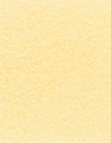 NextParch 8-1/2" x 11" (Letter Size) 65 lb. Parchment Cover Card Stock (Champagne)