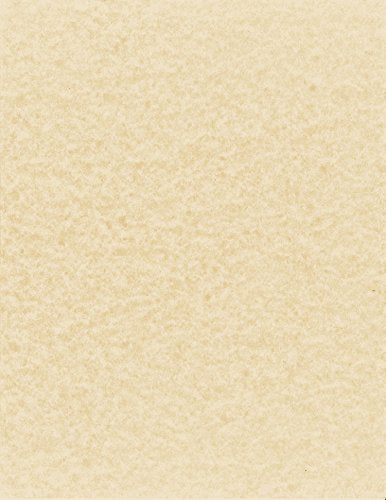 NextParch 8-1/2" x 11" (Letter Size) 65 lb. Parchment Cover Card Stock (Brown)